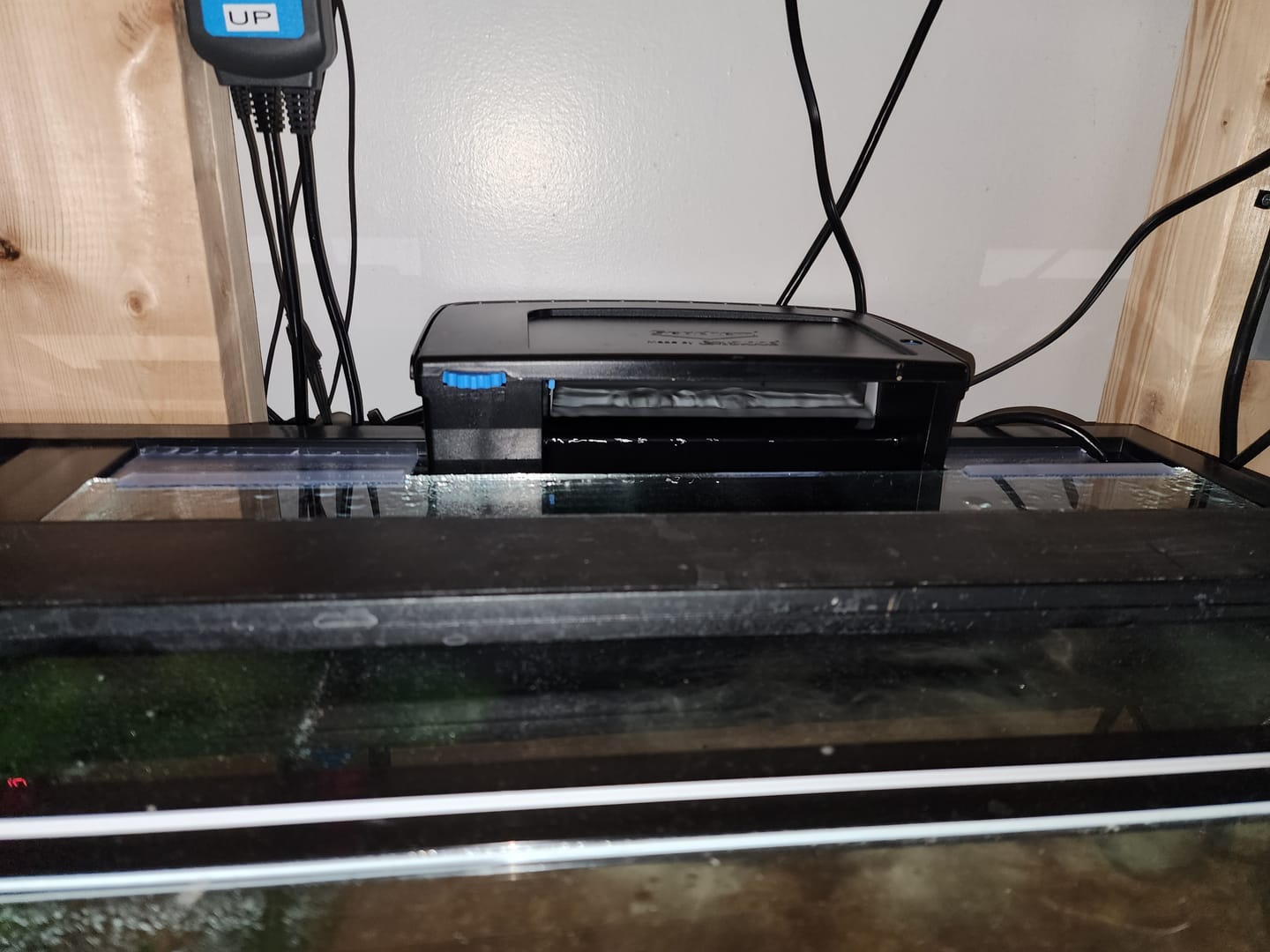 Customer photo review of Tidal Power Filters From Seachem/Sicce