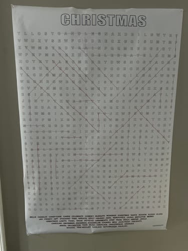Customer photo review of Christmas Giant Word Search Puzzle