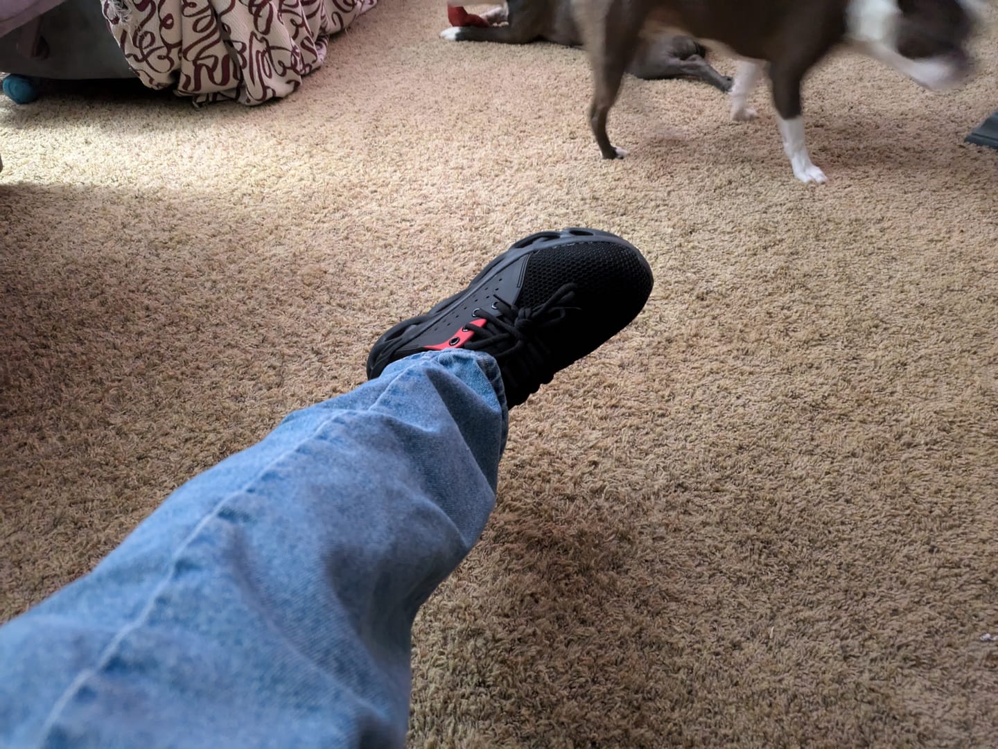 Customer photo review of Xciter Mesh Black