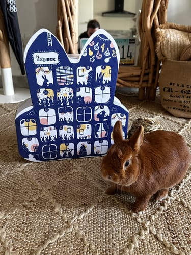 Customer photo review of Le Calendrier de l'Avent Magic'Bunny