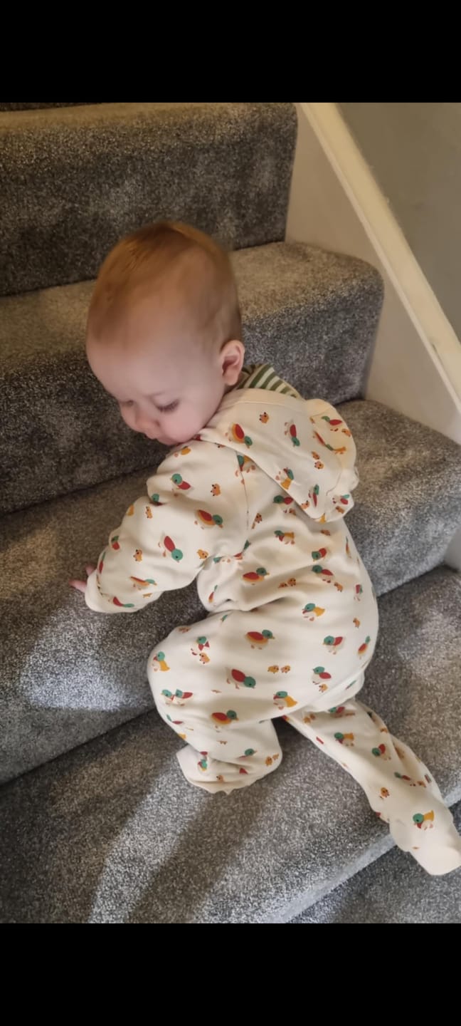 Customer photo review of Weather For Ducks Reversible Hooded Snug As A Bug Suit