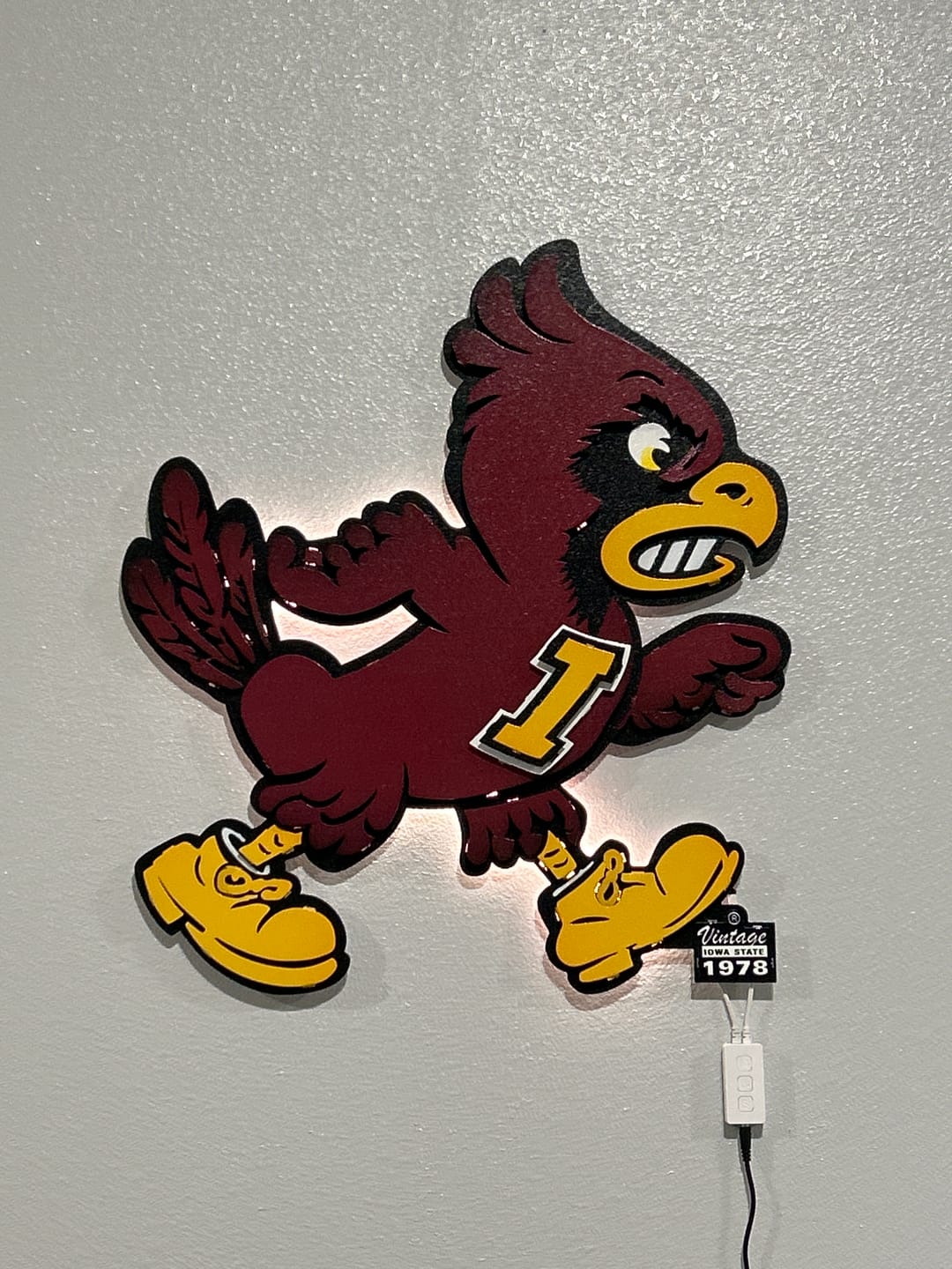Customer photo review of Iowa State Cyclones VAULT "CY" 3D Vintage Metal Wall Art