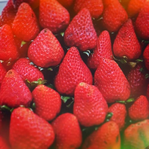 Customer photo review of Calmitas - Gomitas de CBD Premium