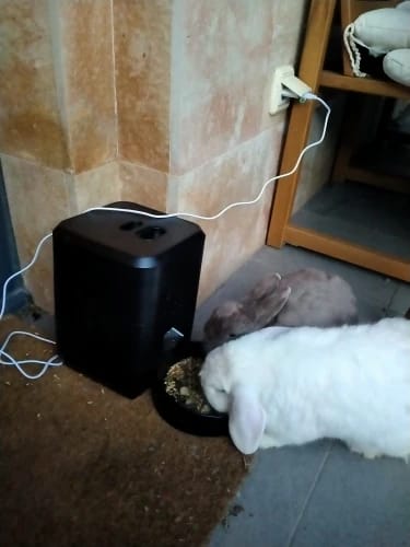 Customer photo review of Automatic Smart Pet Feeder with Timed Quantitative Food Dispenser for Cats and Dogs