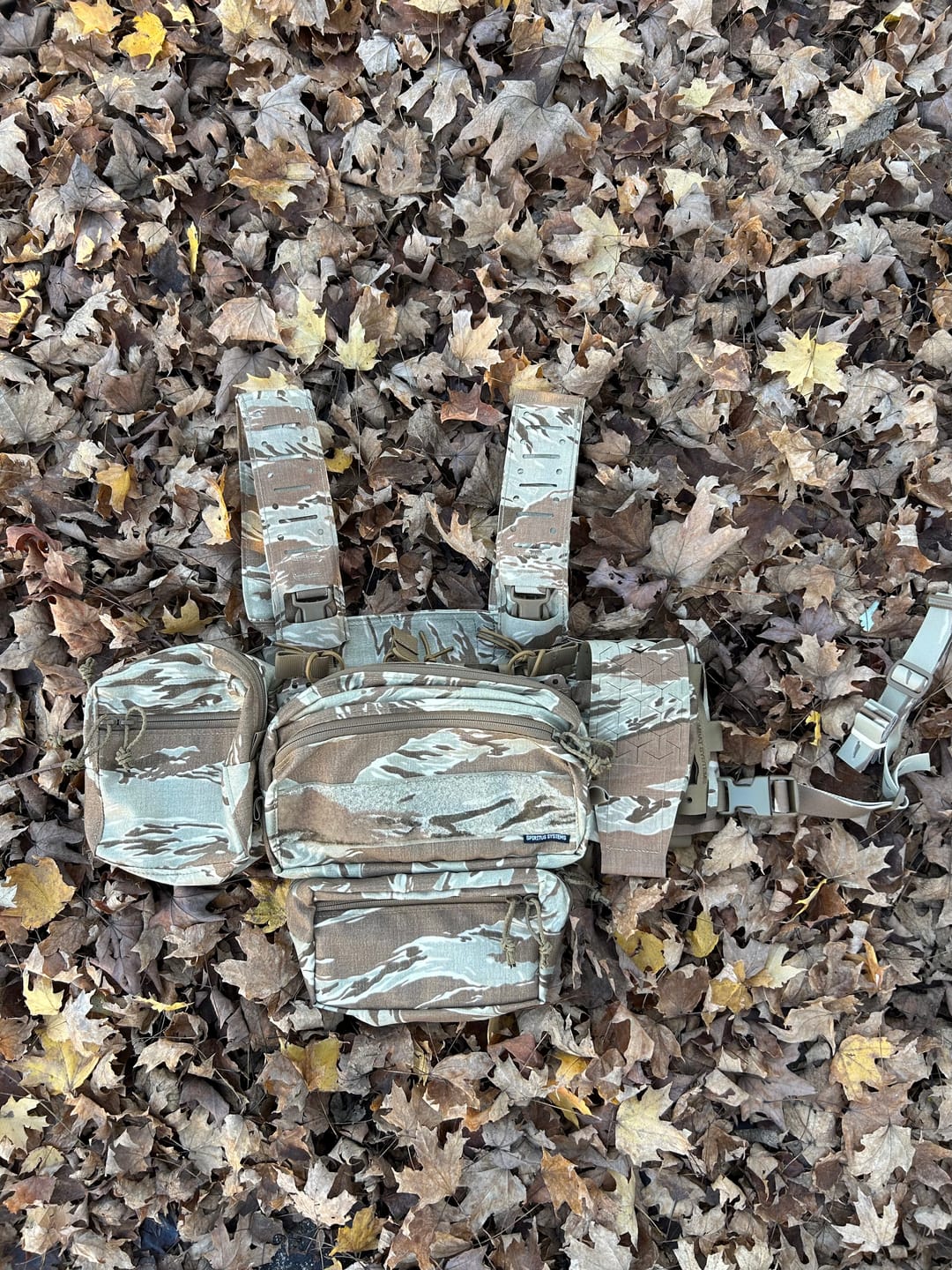 Customer photo review of Sidewing S3 (Spiritus Systems)