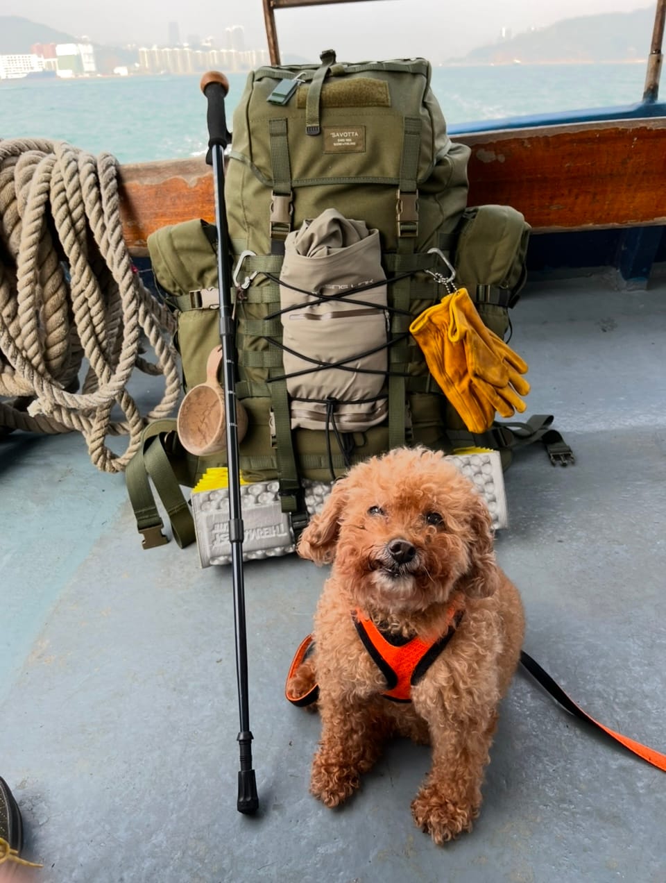 Customer photo review of Jääkäri L backpack