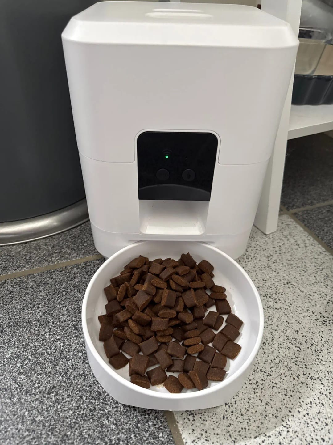 Customer photo review of Automatic Smart Pet Feeder with Timed Quantitative Food Dispenser for Cats and Dogs