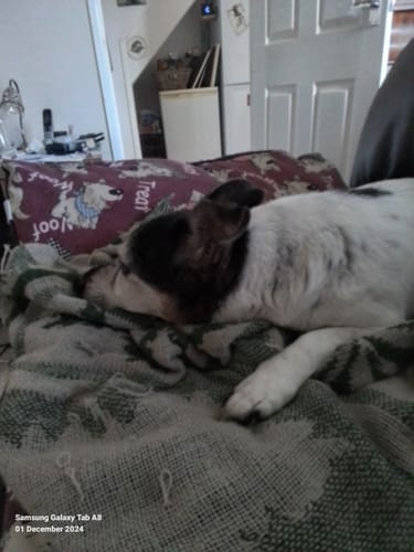 Customer photo review of Motorcycle Wrist Support - Ride Without Wrist Pain