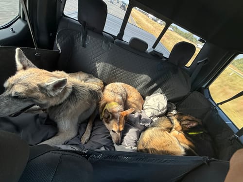 Customer photo review of NEW Waterproof Hard Bottom Car & Truck Seat Foldable Hammock Cover With Storage Pockets, Side Flaps, Headrest Straps, Seat Anchors, & Mesh Window (+FREE SAFETY BELT!)