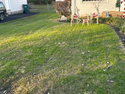 Customer photo review of Mesotrione MESO 4SC Select Herbicide (Tenacity)