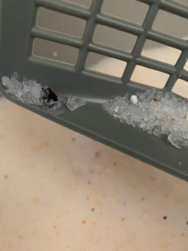 Customer photo review of 1 Month Supply – 2 Cat