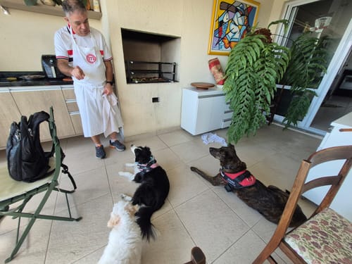 Customer photo review of Weasy Cão