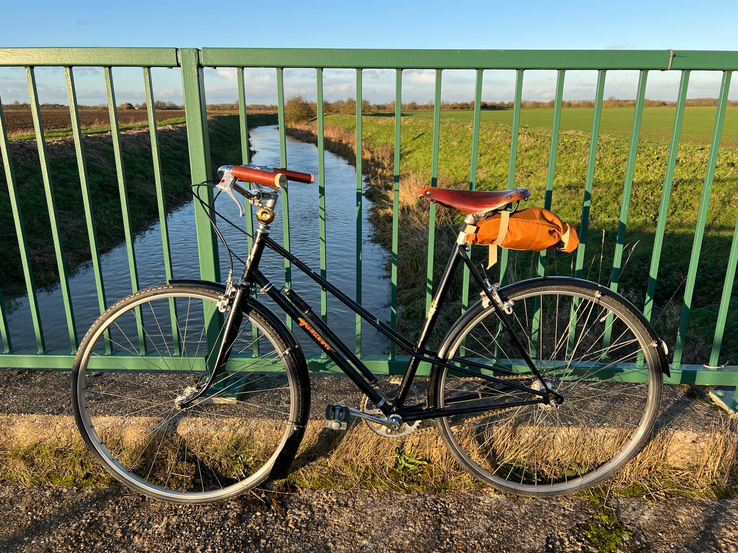 Customer photo review of Temple Saddle Bag Burnt Orange