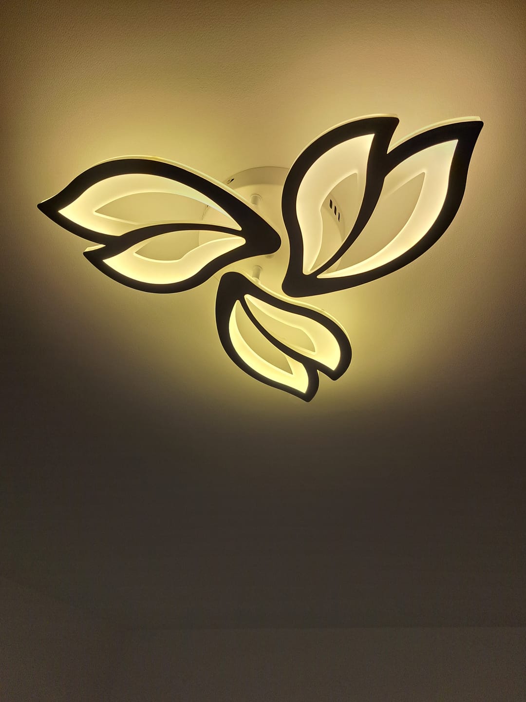 Customer photo review of Lustra LED Mini ANEMONE Echivalent 300W Telecomanda