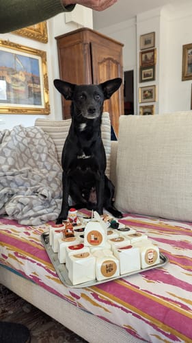 Customer photo review of Biscotti Per Cani Natalini