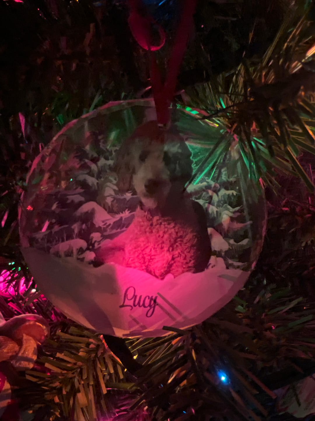 Customer photo review of Personalized Photo Dog Glass Ornament For Christmas