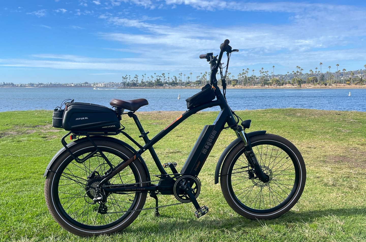 Customer photo review of Cruiser 2.0