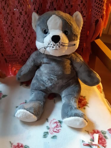 Customer photo review of Lotgenootje Kat 2kg