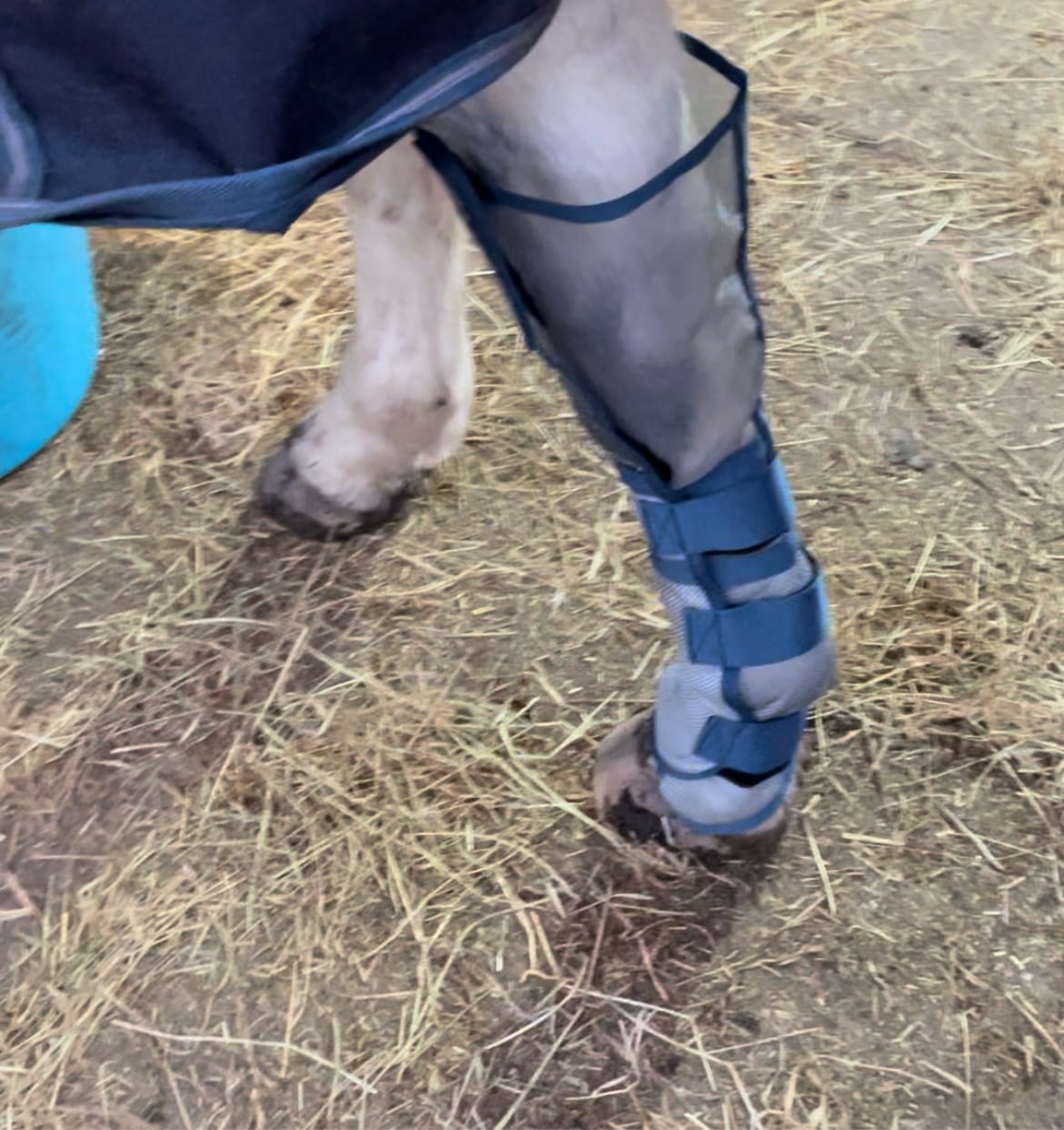 Customer photo review of LE Defender Fly Boots