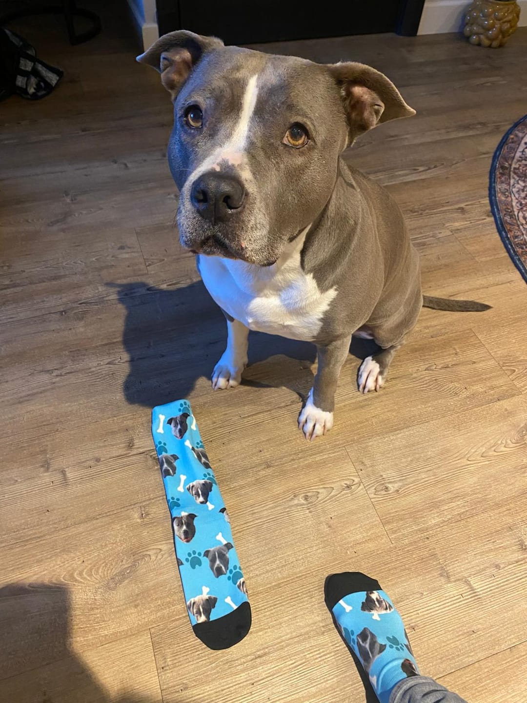 Customer photo review of FaceSock® | Custom Honden Sokken Met Foto