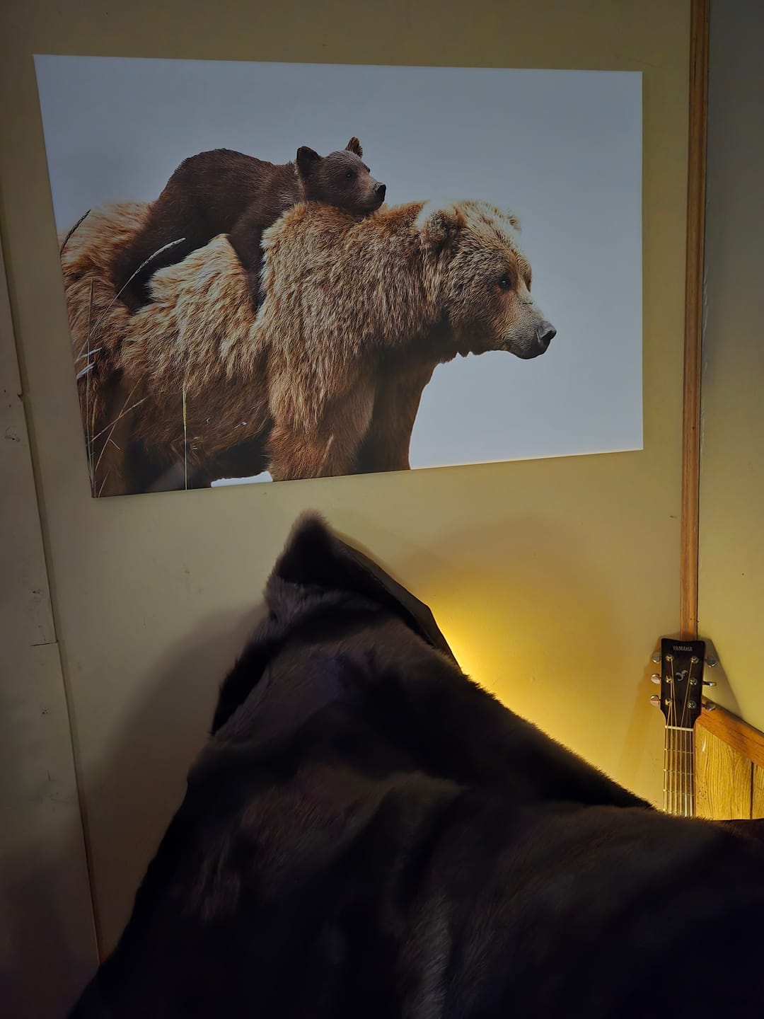 Customer photo review of Mother and Baby Bear Canvas Wall Art - Adorable Wildlife Animal Print, Cozy Rustic Decor for Living Room,