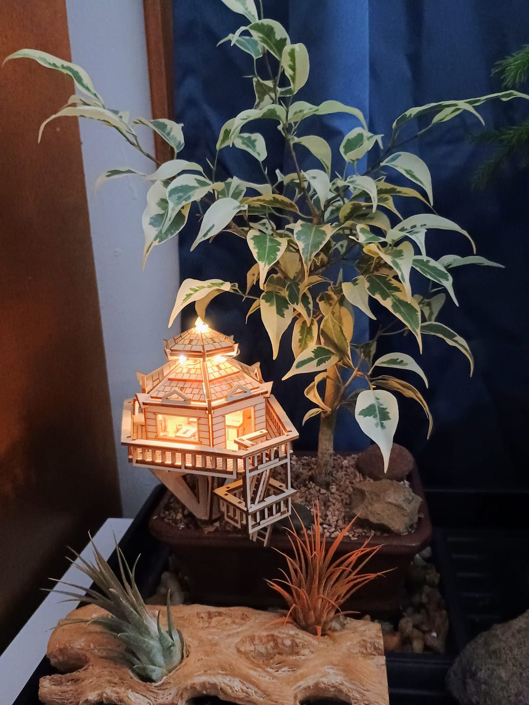 Customer photo review of Woodland Outpost