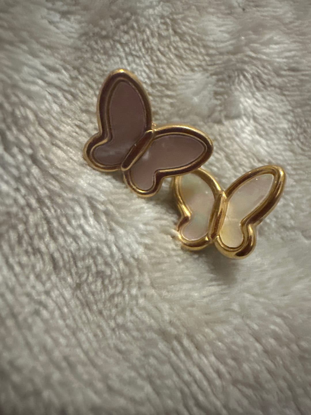 Customer photo review of PAPILLON