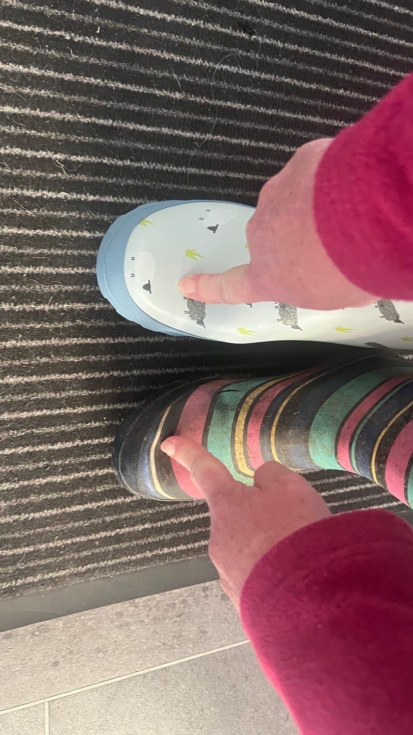 Customer photo review of Farmyard Mid Wellingtons Sheep