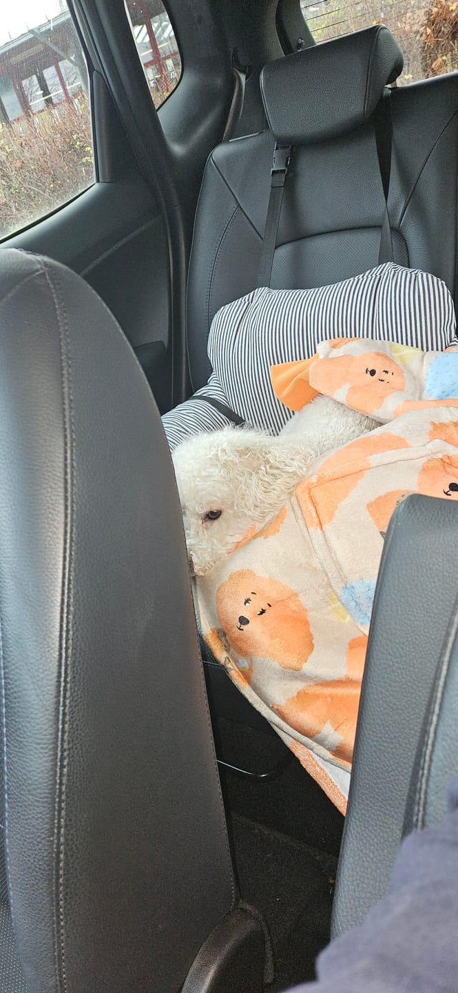 Customer photo review of Fluff Hugs - Adults