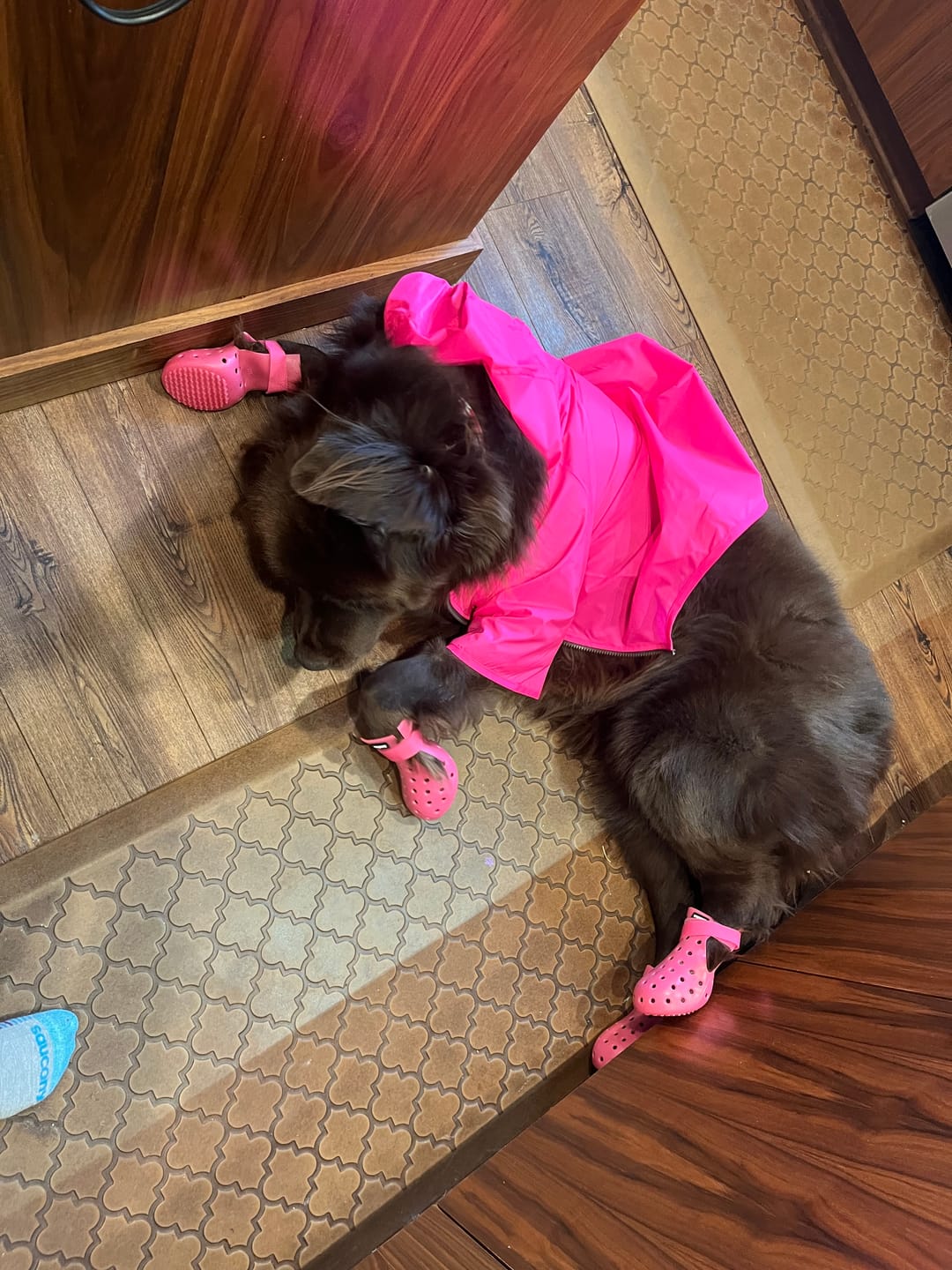Customer photo review of Nylon Rainbreaker