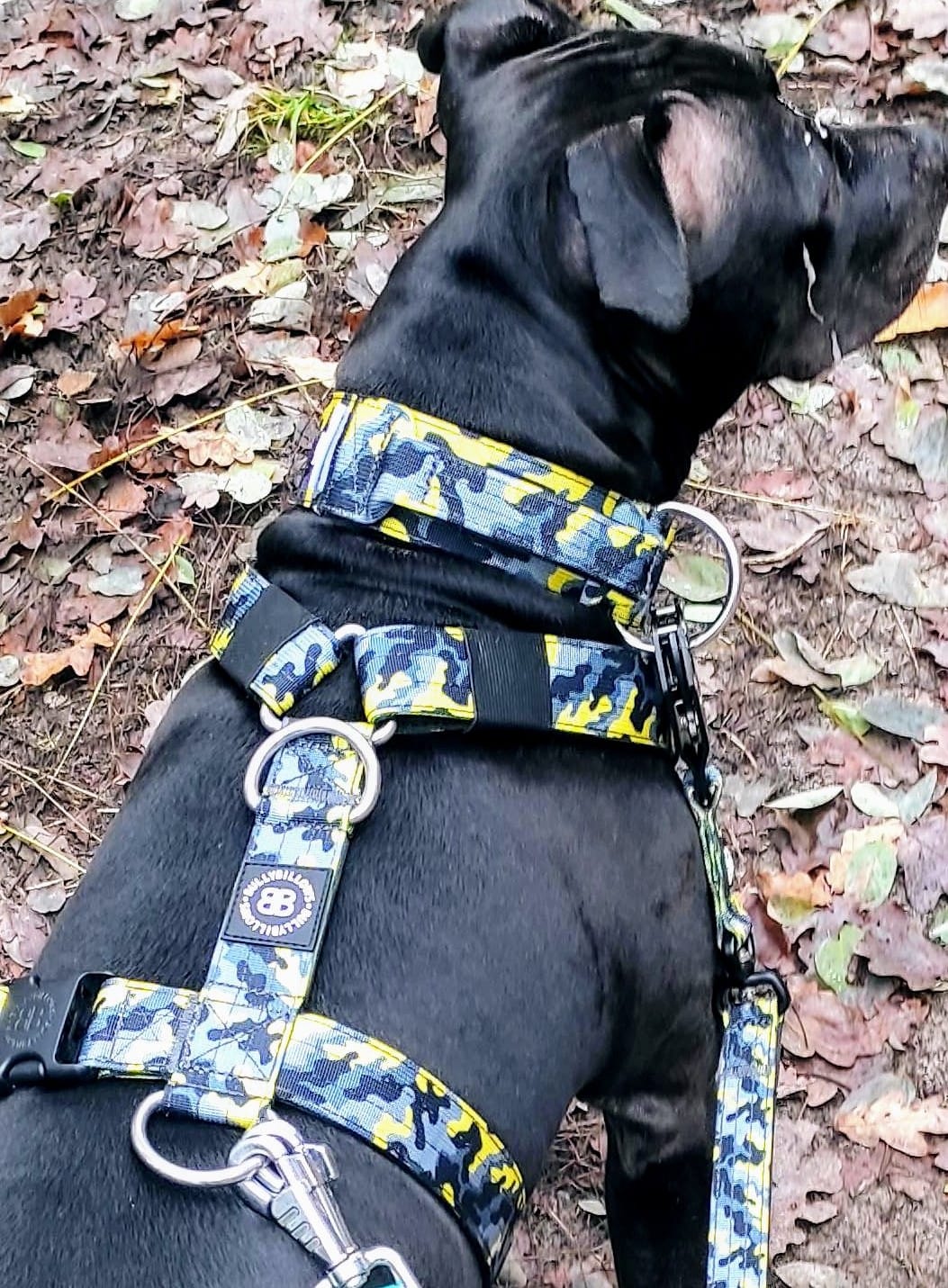 Customer photo review of 1.4m Swivel Combat Lead | Anti-Tangle & Secure Clip - Lightning