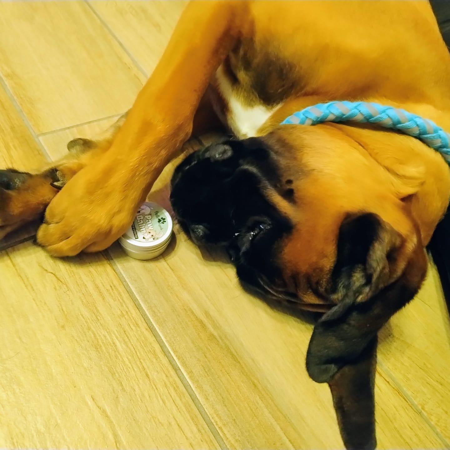 Customer photo review of Paw Balm balsamo polpastrelli PALLE DI PELO
