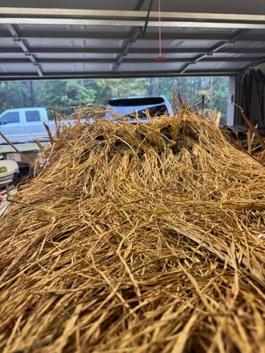 undefined review of Hunting Blind Raffia Grass (Pack) image 1 out of 2