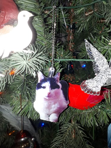 Customer photo review of Personalized Car Hanging Ornament - Gift For Dog Lover - Custom Your Photo Car Hanging