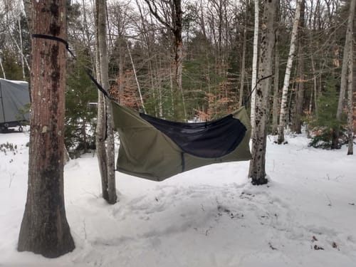 Customer photo review of Haven Safari