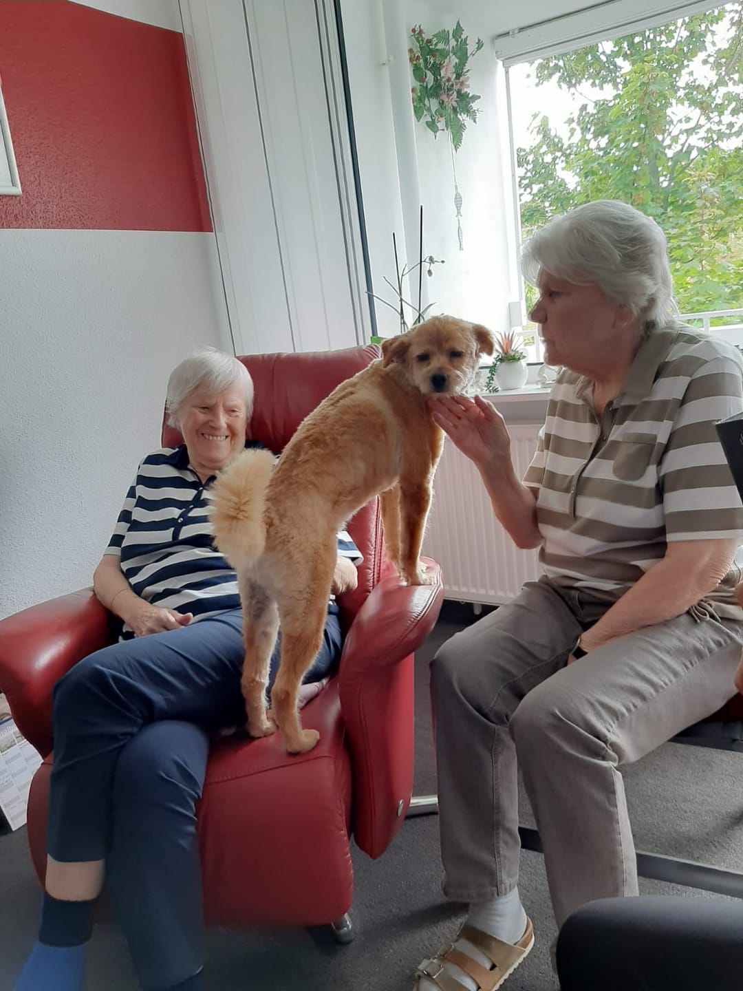 Customer photo review of Lieber Hundepapa - Individuelle Tasse