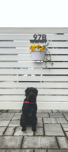 Customer photo review of Numero civico e testo sagomato modello Line 02 Alluminio