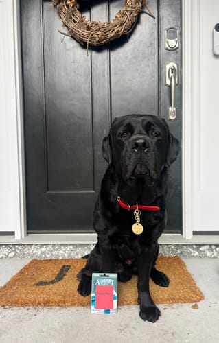 Customer photo review of Cherry - Classic Biothane Dog Collar