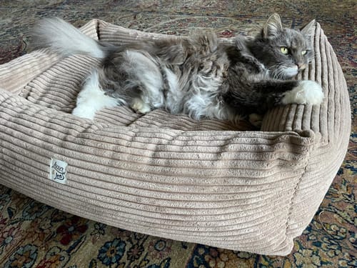 Customer photo review of Cover Divanetto Velluto a Coste Marrone