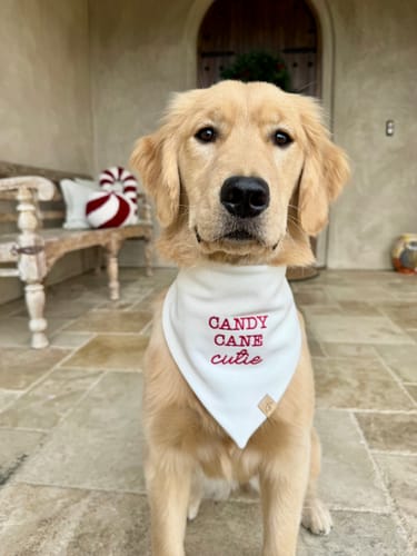Customer photo review of Custom Saying Embroidered Bandana