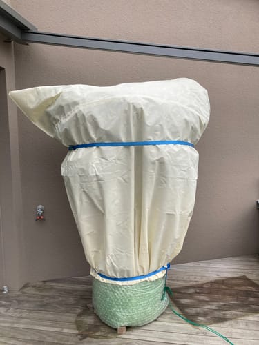 Customer photo review of Winterschutz für Kübelpflanzen "Jumbo" H 200 x B 240 cm