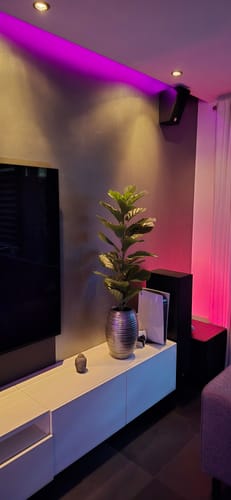 Customer photo review of Ficus Kunstplant 100cm