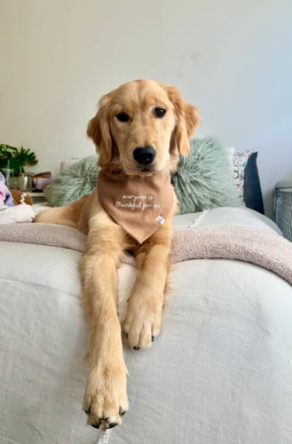 Customer photo review of Custom Saying Embroidered Bandana