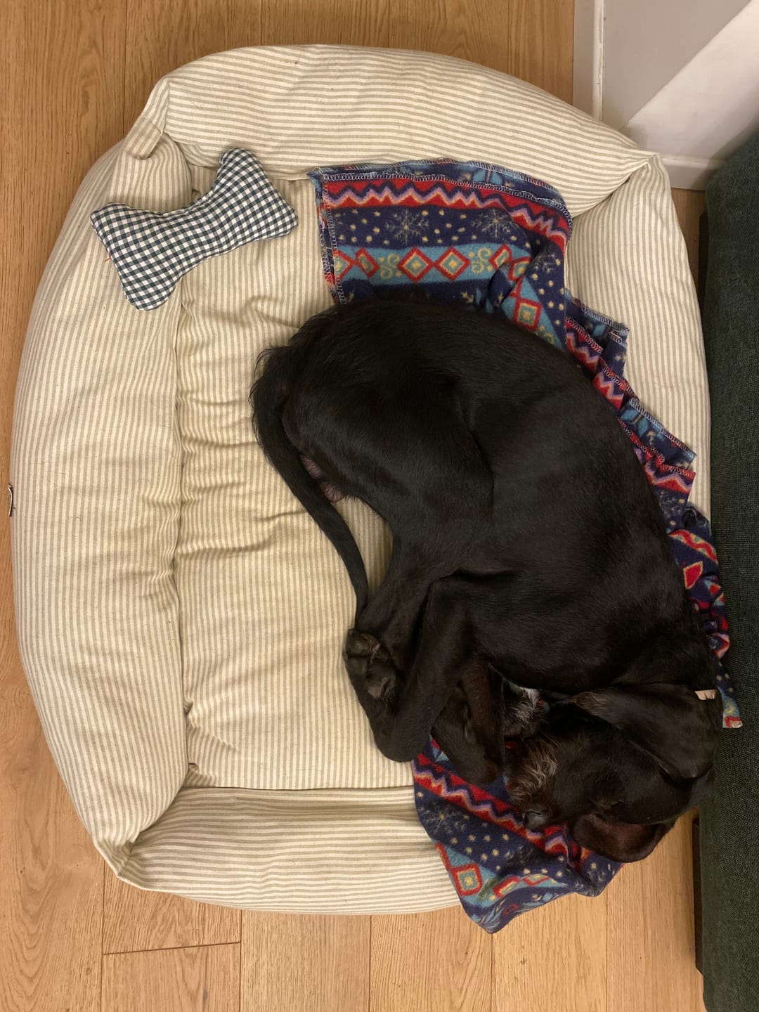 Customer photo review of Divanetto Cotone Righe Verde Chiaro