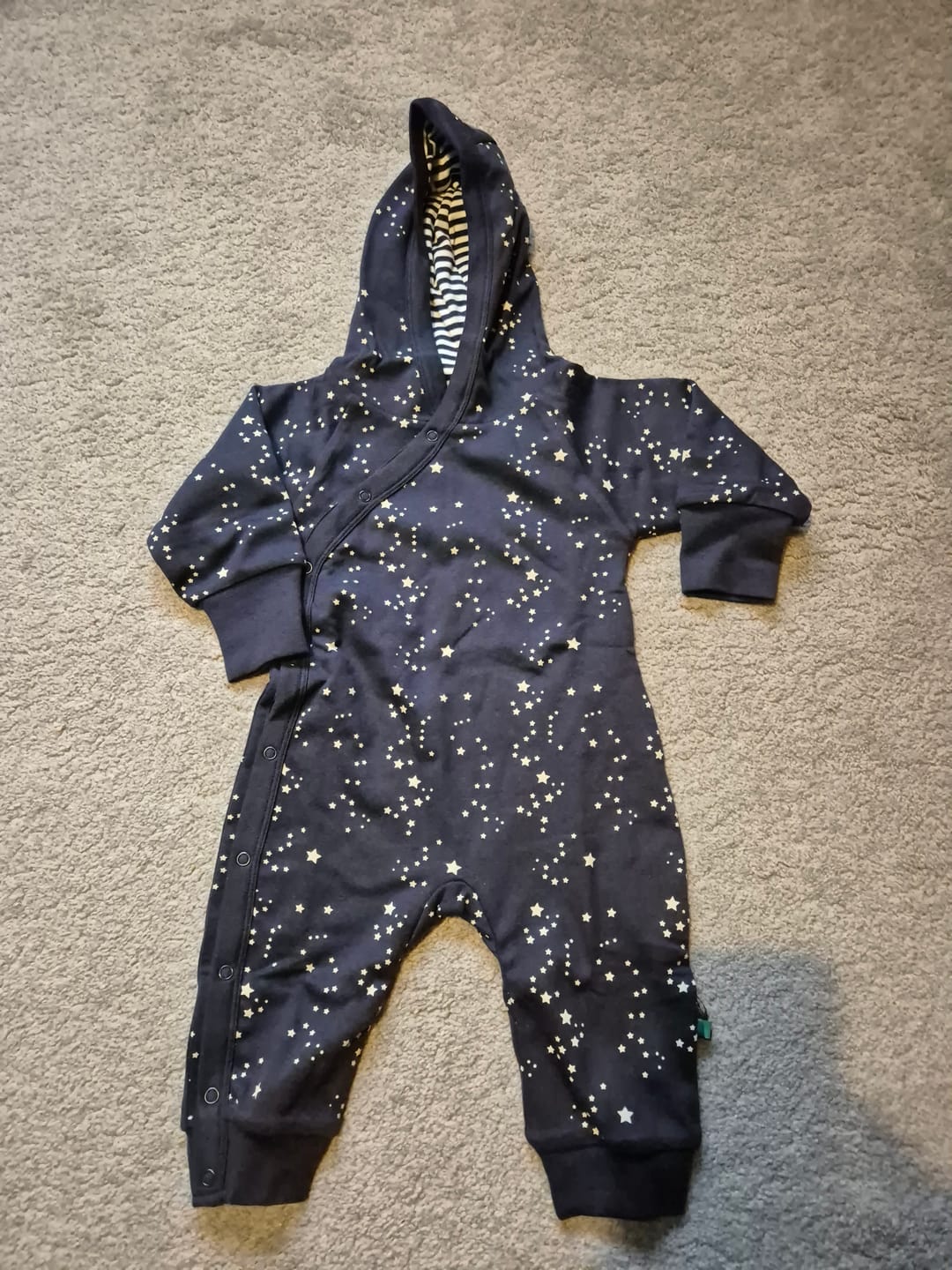 Customer photo review of Starry Night Reversible Snug As A Bug Suit