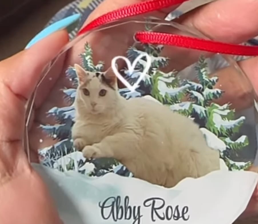 Customer photo review of Personalized Photo Dog Glass Ornament For Christmas