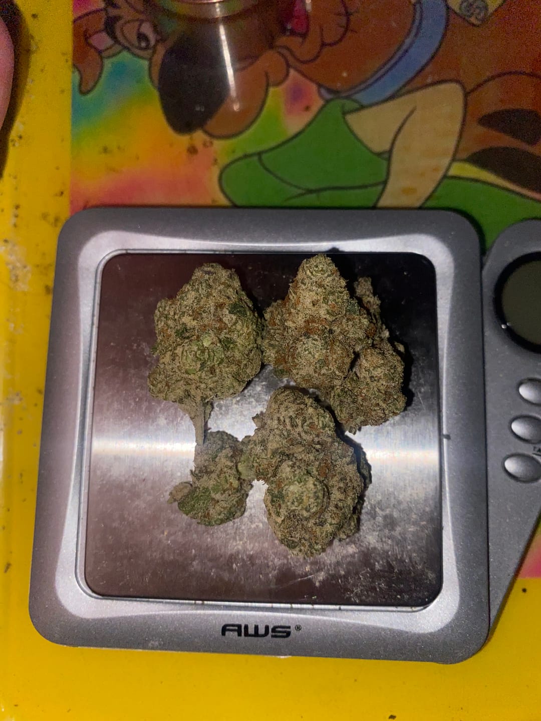 Customer photo review of Gelato 45 - THCa Flower