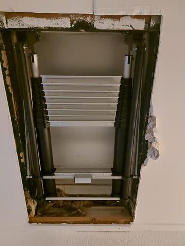 Customer photo review of Telescopic Loft Ladder GIRAFFE | 2.3 - 2.65M