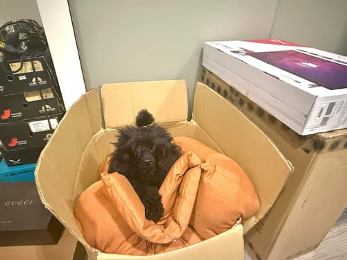 Customer photo review of Divanetto Mattias Caramello (Soft Touch)