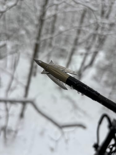 Customer photo review of Beast Broadheads